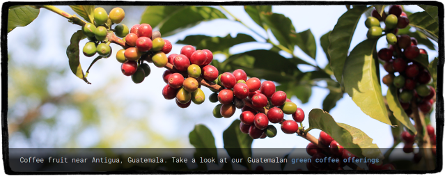 Screenshot_2019-07-20 Sweet Maria's Home Coffee Roasting
